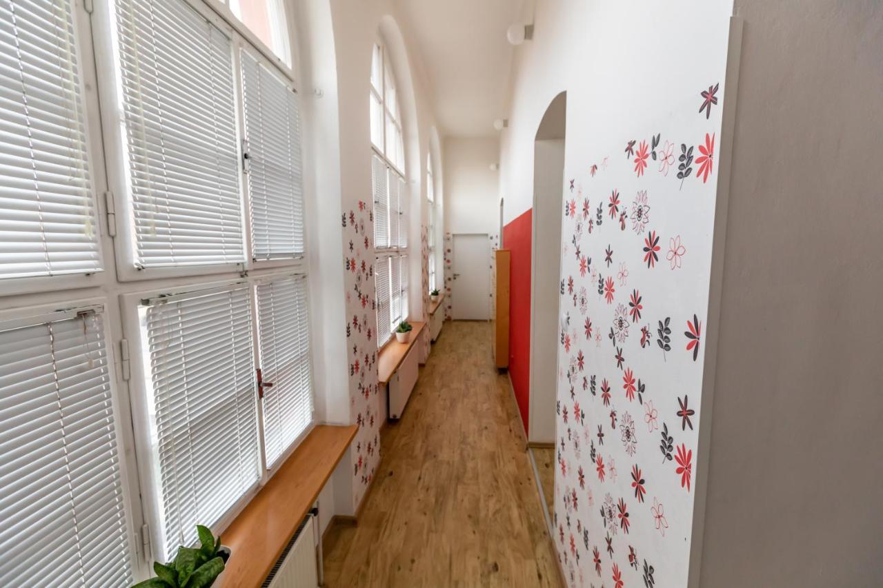 Palac Daun - Studio Apartments زنويمو المظهر الخارجي الصورة