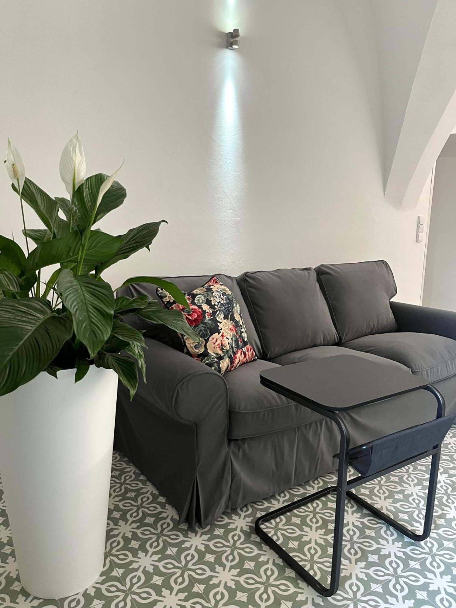 Palac Daun - Studio Apartments زنويمو المظهر الخارجي الصورة